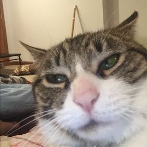 Meet your Posher, Anuhea